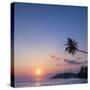 Palm Tree at Sunset on Tropical Mirissa Beach-Matthew Williams-Ellis-Stretched Canvas