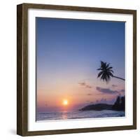 Palm Tree at Sunset on Tropical Mirissa Beach-Matthew Williams-Ellis-Framed Photographic Print