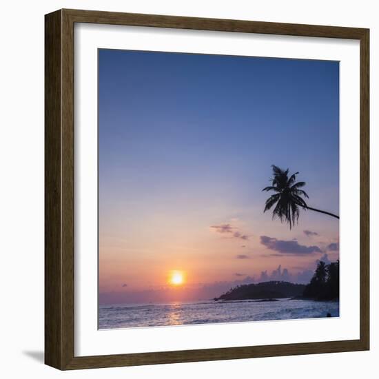 Palm Tree at Sunset on Tropical Mirissa Beach-Matthew Williams-Ellis-Framed Photographic Print