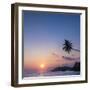 Palm Tree at Sunset on Tropical Mirissa Beach-Matthew Williams-Ellis-Framed Photographic Print