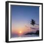 Palm Tree at Sunset on Tropical Mirissa Beach-Matthew Williams-Ellis-Framed Photographic Print