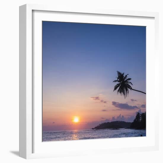 Palm Tree at Sunset on Tropical Mirissa Beach-Matthew Williams-Ellis-Framed Photographic Print