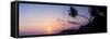 Palm Tree at Sunset on Tropical Mirissa Beach-Matthew Williams-Ellis-Framed Stretched Canvas