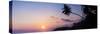 Palm Tree at Sunset on Tropical Mirissa Beach-Matthew Williams-Ellis-Stretched Canvas