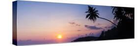 Palm Tree at Sunset on Tropical Mirissa Beach-Matthew Williams-Ellis-Stretched Canvas