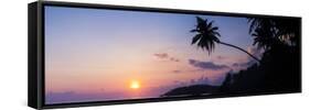 Palm Tree at Sunset on Tropical Mirissa Beach-Matthew Williams-Ellis-Framed Stretched Canvas