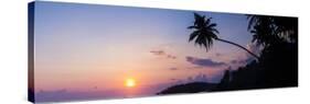 Palm Tree at Sunset on Tropical Mirissa Beach-Matthew Williams-Ellis-Stretched Canvas