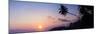 Palm Tree at Sunset on Tropical Mirissa Beach-Matthew Williams-Ellis-Mounted Photographic Print