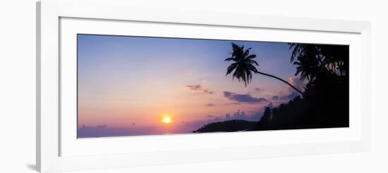 Palm Tree at Sunset on Tropical Mirissa Beach-Matthew Williams-Ellis-Framed Photographic Print