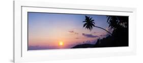 Palm Tree at Sunset on Tropical Mirissa Beach-Matthew Williams-Ellis-Framed Photographic Print