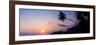 Palm Tree at Sunset on Tropical Mirissa Beach-Matthew Williams-Ellis-Framed Photographic Print