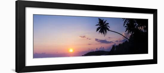 Palm Tree at Sunset on Tropical Mirissa Beach-Matthew Williams-Ellis-Framed Photographic Print