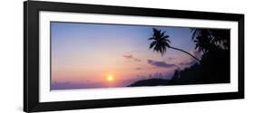 Palm Tree at Sunset on Tropical Mirissa Beach-Matthew Williams-Ellis-Framed Photographic Print