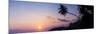 Palm Tree at Sunset on Tropical Mirissa Beach-Matthew Williams-Ellis-Mounted Photographic Print