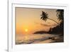 Palm Tree at Sunset on Tropical Mirissa Beach-Matthew Williams-Ellis-Framed Photographic Print