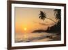 Palm Tree at Sunset on Tropical Mirissa Beach-Matthew Williams-Ellis-Framed Photographic Print