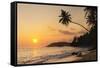 Palm Tree at Sunset on Tropical Mirissa Beach-Matthew Williams-Ellis-Framed Stretched Canvas