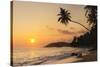 Palm Tree at Sunset on Tropical Mirissa Beach-Matthew Williams-Ellis-Stretched Canvas