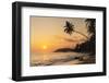 Palm Tree at Sunset on Tropical Mirissa Beach-Matthew Williams-Ellis-Framed Photographic Print