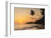 Palm Tree at Sunset on Tropical Mirissa Beach-Matthew Williams-Ellis-Framed Photographic Print