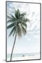 Palm Tree at the Beach 2-Photolovers-Mounted Photographic Print