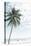 Palm Tree at the Beach 2-Photolovers-Stretched Canvas