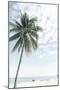 Palm Tree at the Beach 2-Photolovers-Mounted Photographic Print