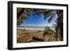 Palm Tree at the Southern Tip of the Nicoya Peninsula, Puntarenas, Costa Rica-Rob Francis-Framed Photographic Print