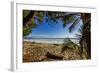 Palm Tree at the Southern Tip of the Nicoya Peninsula, Puntarenas, Costa Rica-Rob Francis-Framed Photographic Print