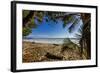 Palm Tree at the Southern Tip of the Nicoya Peninsula, Puntarenas, Costa Rica-Rob Francis-Framed Photographic Print