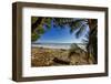 Palm Tree at the Southern Tip of the Nicoya Peninsula, Puntarenas, Costa Rica-Rob Francis-Framed Photographic Print