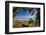 Palm Tree at the Southern Tip of the Nicoya Peninsula, Puntarenas, Costa Rica-Rob Francis-Framed Photographic Print