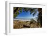Palm Tree at the Southern Tip of the Nicoya Peninsula, Puntarenas, Costa Rica-Rob Francis-Framed Photographic Print