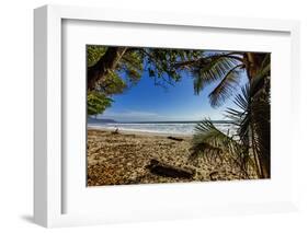 Palm Tree at the Southern Tip of the Nicoya Peninsula, Puntarenas, Costa Rica-Rob Francis-Framed Photographic Print