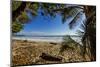 Palm Tree at the Southern Tip of the Nicoya Peninsula, Puntarenas, Costa Rica-Rob Francis-Mounted Photographic Print