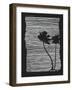 Palm Tree Beach Texture 2-yusuf doganay-Framed Art Print