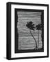 Palm Tree Beach Texture 2-yusuf doganay-Framed Art Print