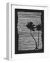 Palm Tree Beach Texture 2-yusuf doganay-Framed Art Print