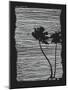 Palm Tree Beach Texture 2-yusuf doganay-Mounted Art Print