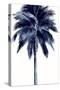 Palm Tree Blue I-Devon Davis-Stretched Canvas