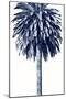 Palm Tree Blue II-Devon Davis-Mounted Art Print