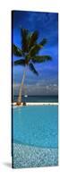 Palm Tree by a Pool Overlooking the Ocean, Tahiti, French Polynesia-null-Stretched Canvas