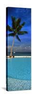 Palm Tree by a Pool Overlooking the Ocean, Tahiti, French Polynesia-null-Stretched Canvas