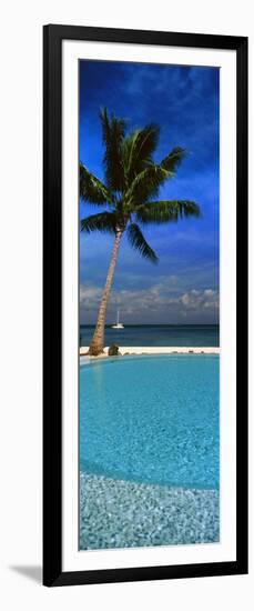 Palm Tree by a Pool Overlooking the Ocean, Tahiti, French Polynesia-null-Framed Photographic Print