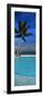 Palm Tree by a Pool Overlooking the Ocean, Tahiti, French Polynesia-null-Framed Photographic Print