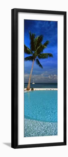 Palm Tree by a Pool Overlooking the Ocean, Tahiti, French Polynesia-null-Framed Photographic Print