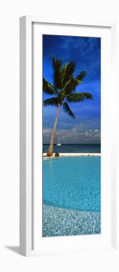 Palm Tree by a Pool Overlooking the Ocean, Tahiti, French Polynesia-null-Framed Photographic Print