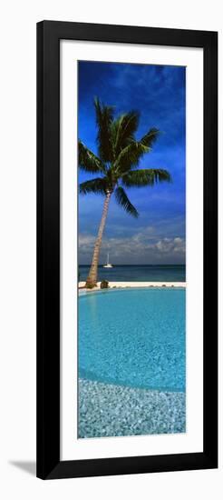 Palm Tree by a Pool Overlooking the Ocean, Tahiti, French Polynesia-null-Framed Photographic Print