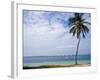 Palm Tree by Bay, Florida Keys, Florida-Terry Eggers-Framed Photographic Print