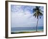 Palm Tree by Bay, Florida Keys, Florida-Terry Eggers-Framed Photographic Print